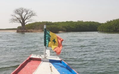 Retiro Senegal Diciembre 2023