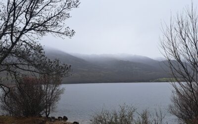 Retiro Desconexión Lozoya Febrero 2026