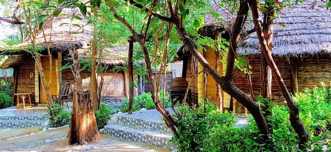Retiro en Senegal, Enero- Febrero 2027